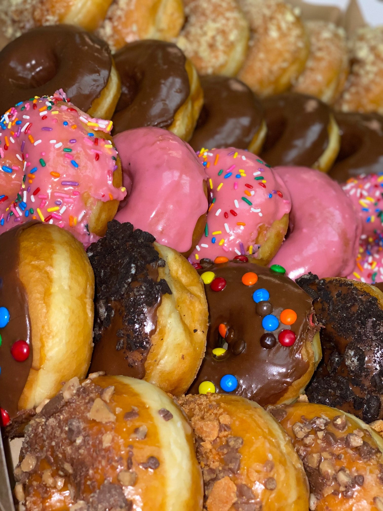 Mixed Dozen Donuts | Solano Baking Company