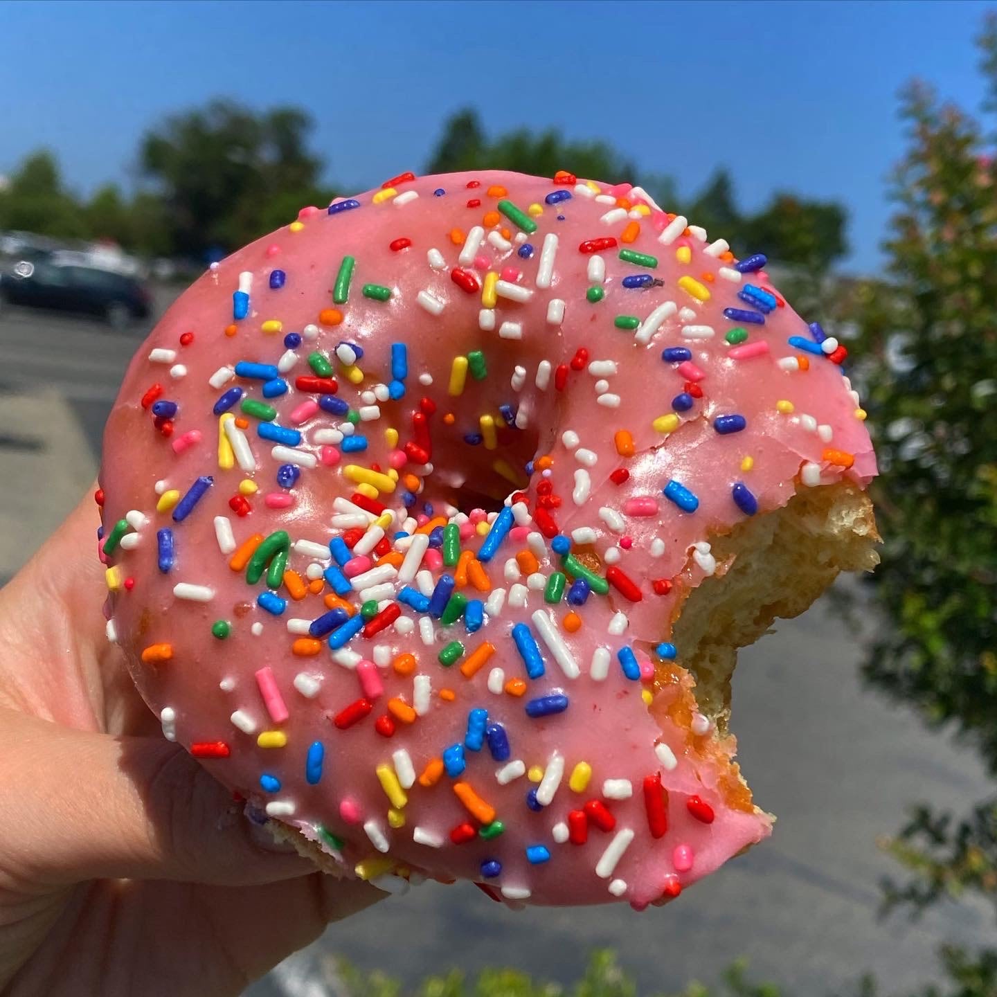 Three Surprise Donuts! | Solano Baking Company